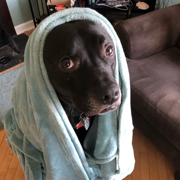 Meet your Posher, Esther - Picture 5 of 8